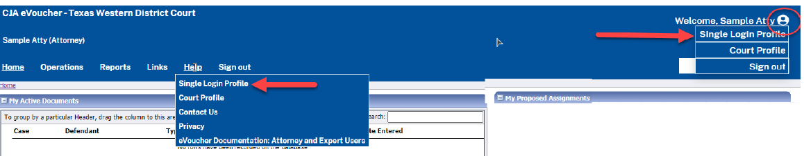 Access Single Login Profile